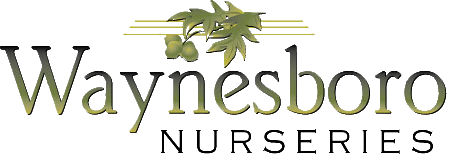 Waynesboro Nurseries Logo